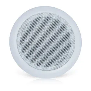 Ceiling Speaker
